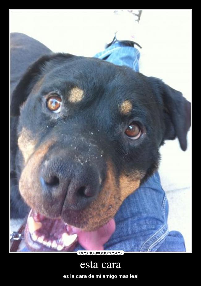 esta cara - 