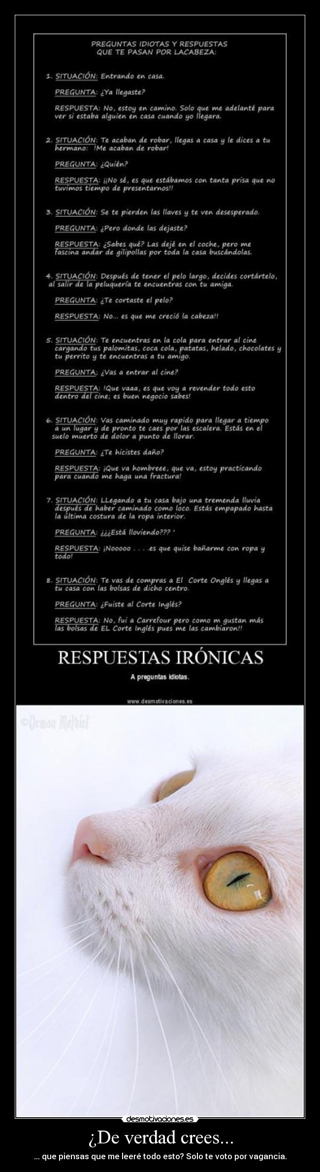 ¿De verdad crees... -