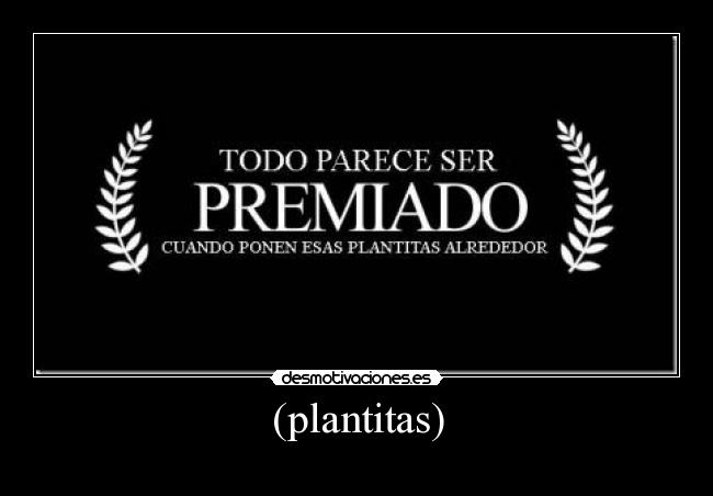 (plantitas) - 