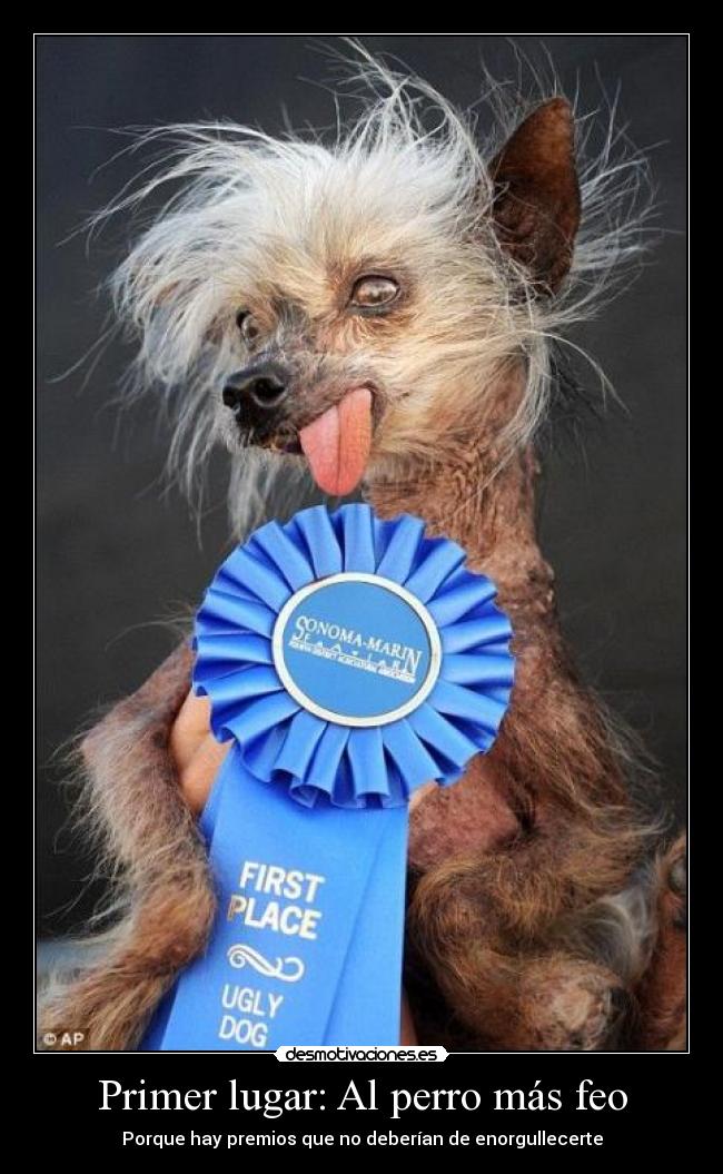 Primer lugar: Al perro más feo -