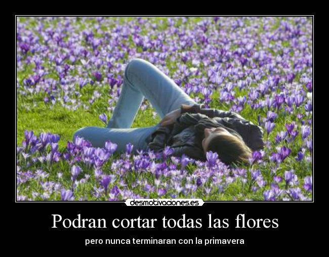 Podran cortar todas las flores - 