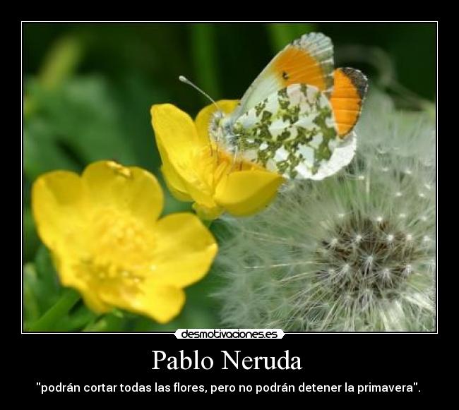 Pablo Neruda  - podrán cortar todas las flores, pero no podrán detener la primavera. 