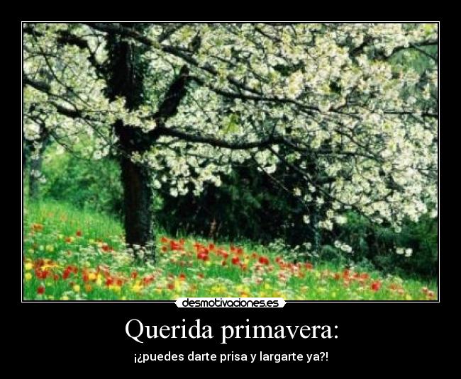 carteles lauracyinder desmotivaciones