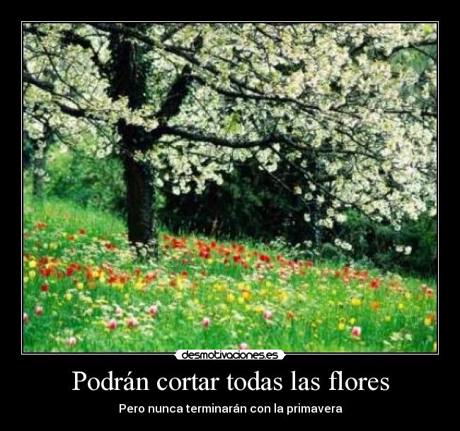 Podrán cortar todas las flores - Pero nunca terminarán con la primavera