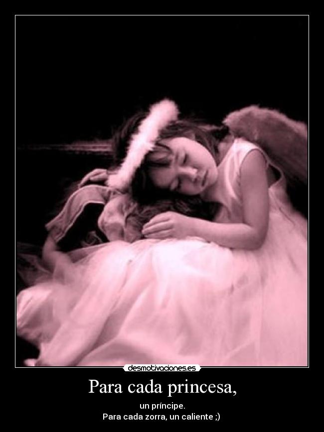 carteles princesa zorra principe caliente desmotivaciones