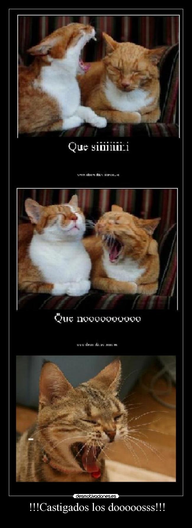 !!!Castigados los dooooosss!!! - 