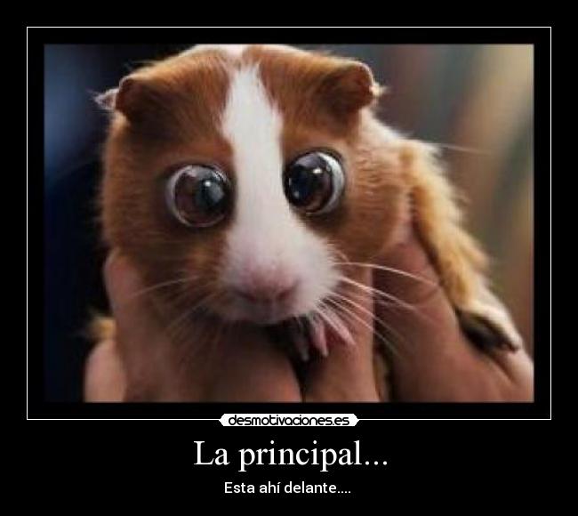 La principal... - Esta ahí delante.... 