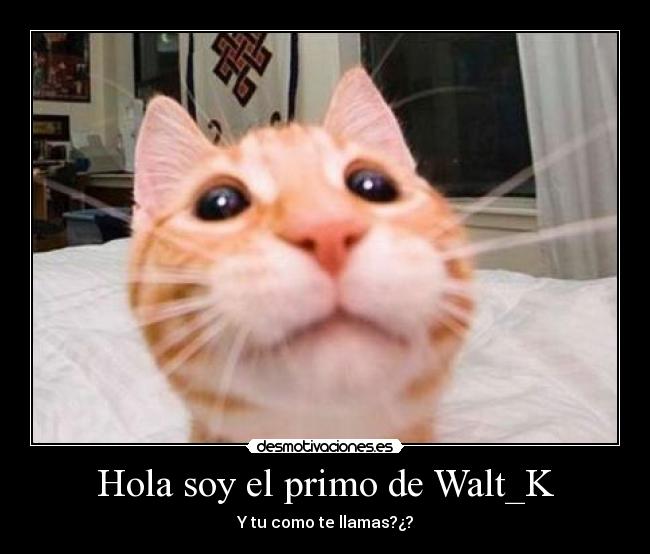 carteles asdf desmotivaciones