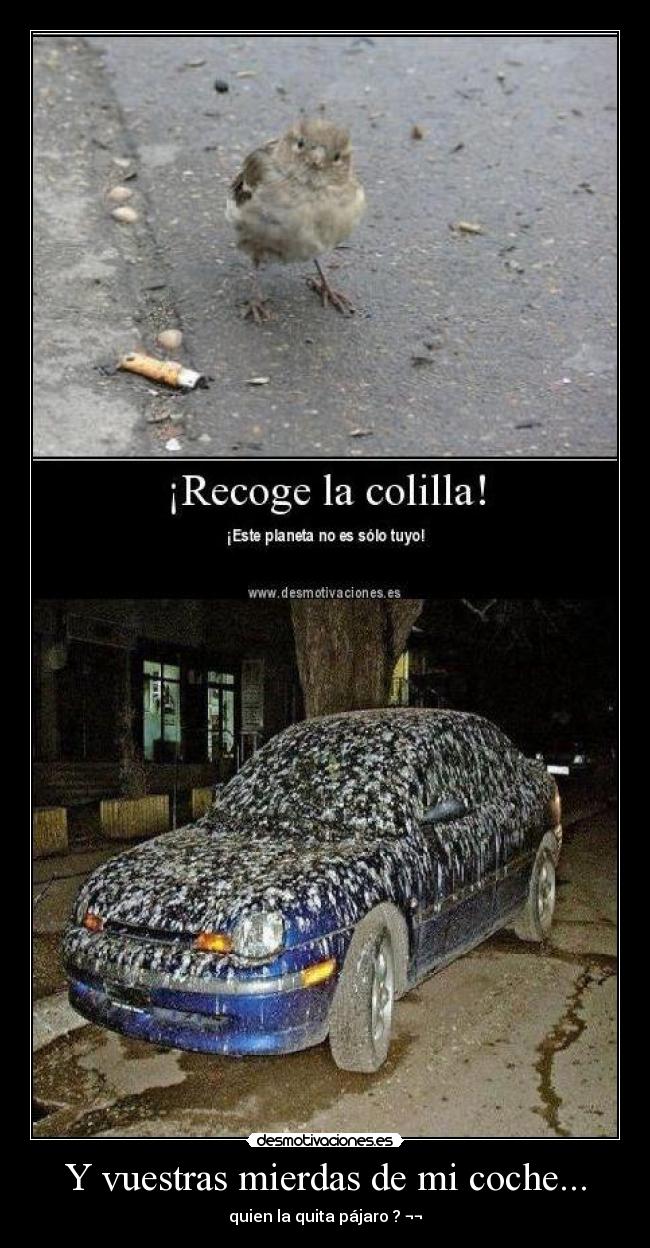 Y vuestras mierdas de mi coche... -