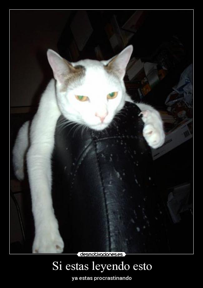 Si estas leyendo esto - 