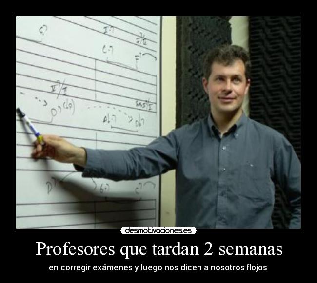 Profesores que tardan 2 semanas - 