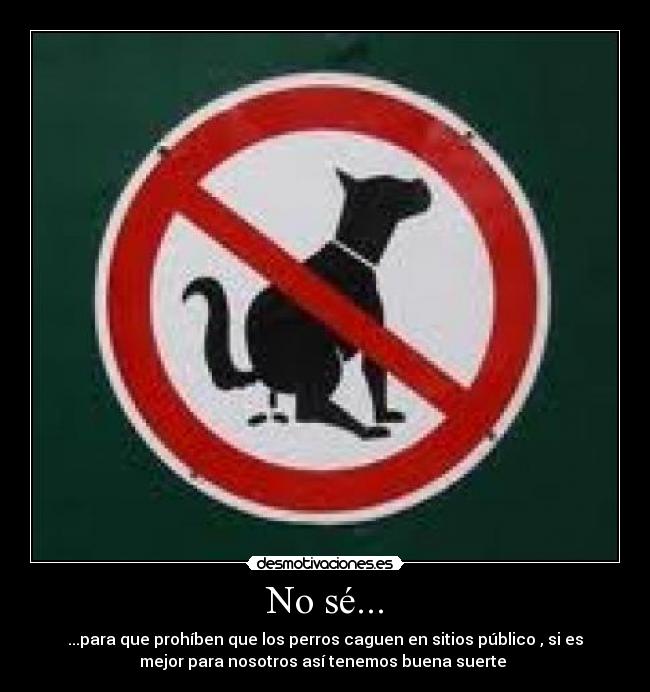 No sé... - ...para que prohíben que los perros caguen en sitios público , si es
mejor para nosotros así tenemos buena suerte