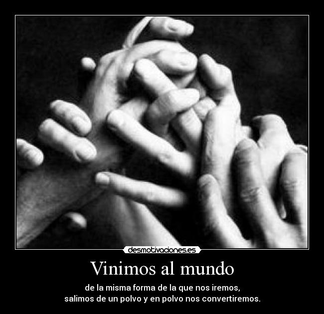 Vinimos al mundo -