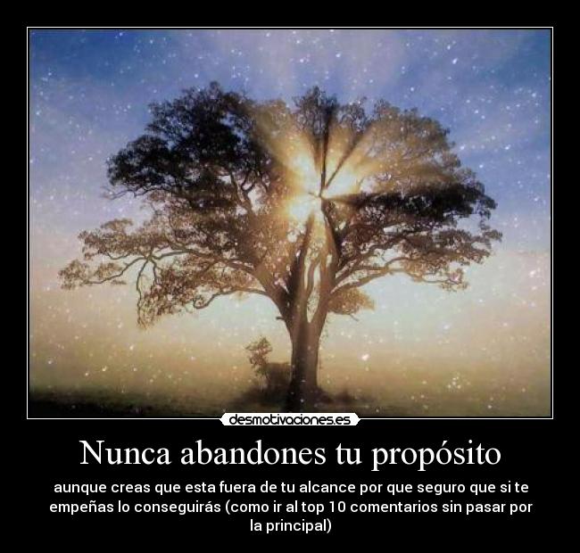 Nunca abandones tu propósito - aunque creas que esta fuera de tu alcance por que seguro que si te
empeñas lo conseguirás (como ir al top 10 comentarios sin pasar por
la principal)