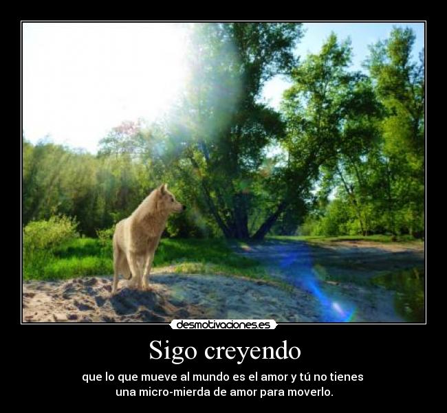 Sigo creyendo -