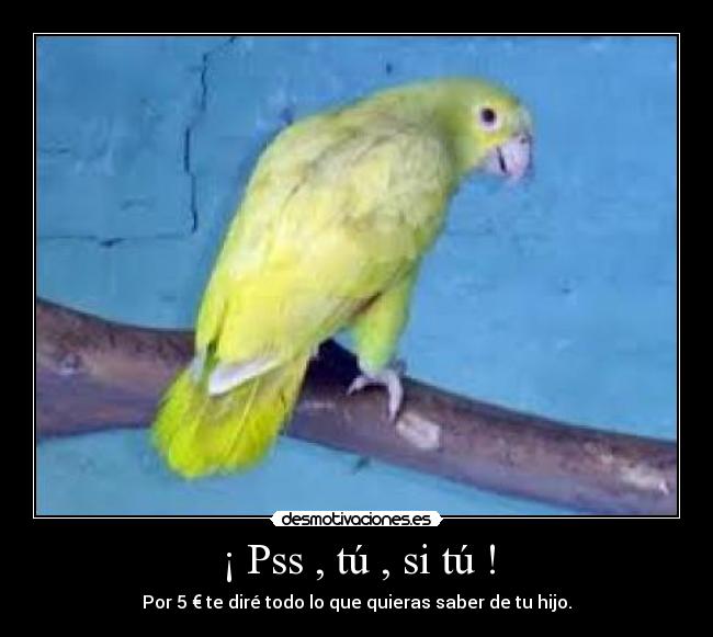 ¡ Pss , tú , si tú ! - Por 5 € te diré todo lo que quieras saber de tu hijo.