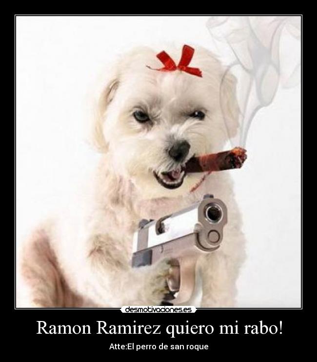 carteles perro san roque desmotivaciones