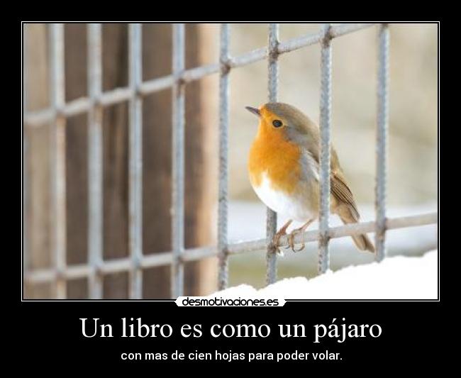 carteles pajaro desmotivaciones