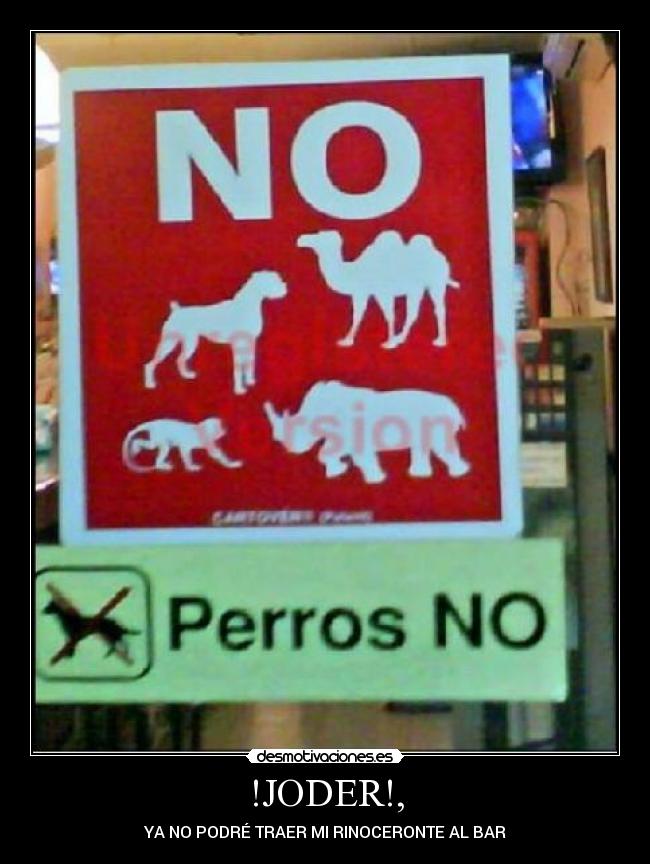 !JODER!, - YA NO PODRÉ TRAER MI RINOCERONTE AL BAR