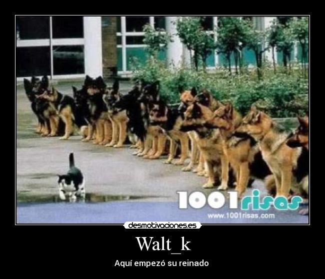 Walt_k - 