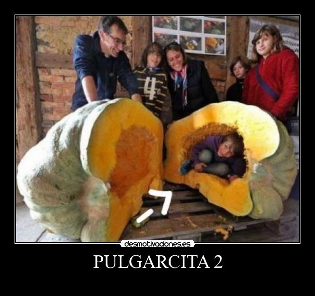 PULGARCITA 2 -