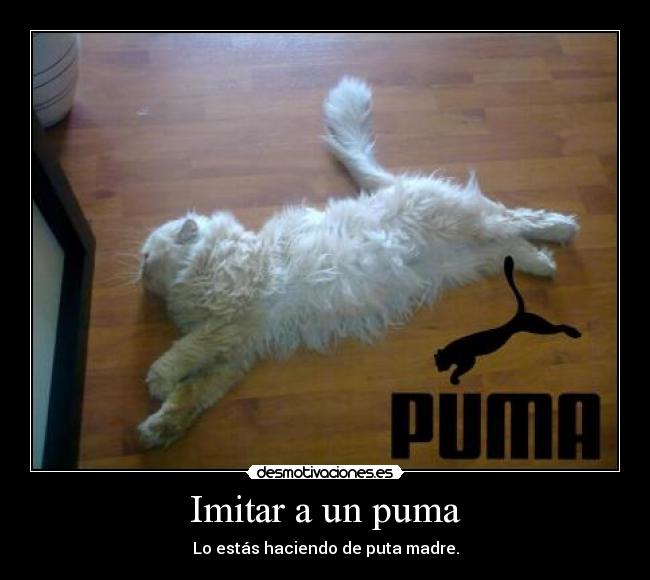 Imitar a un puma - Lo estás haciendo de puta madre.