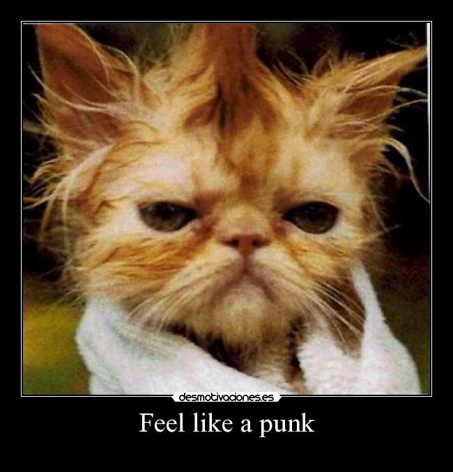 Feel like a punk - 