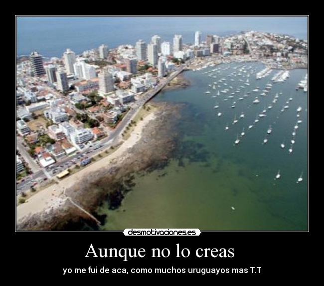 Aunque no lo creas  - 