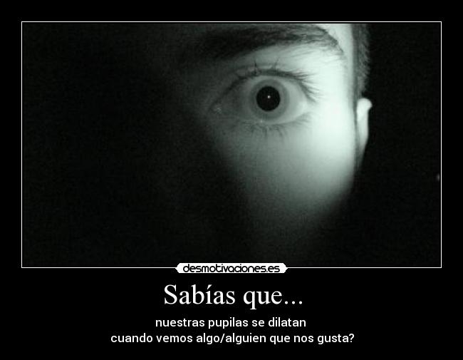 Sabías que... - nuestras pupilas se dilatan
cuando vemos algo/alguien que nos gusta?