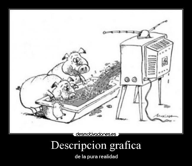 Descripcion grafica -
