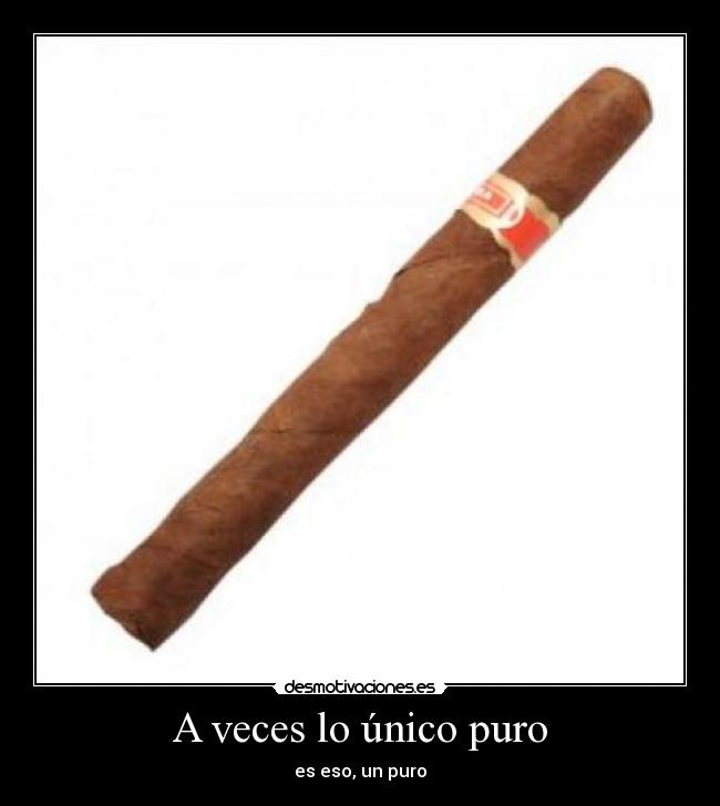 A veces lo único puro - 