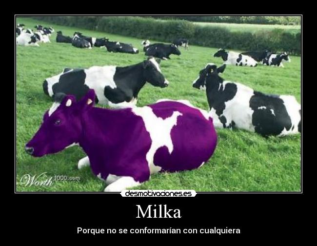 carteles milka vaca purple vaca que rie desmotivaciones