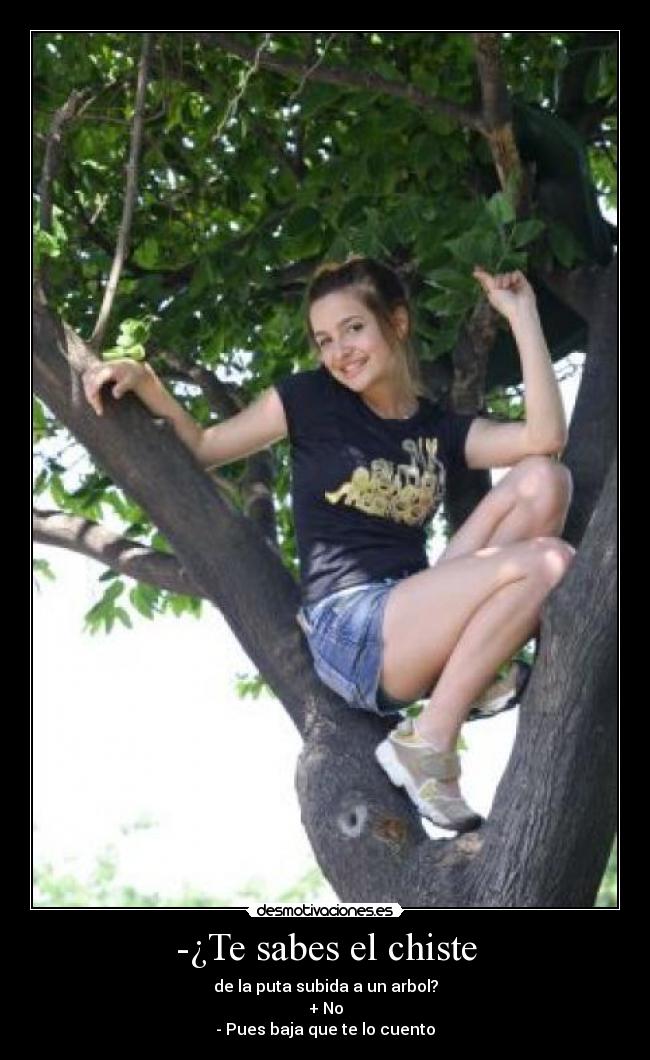 -¿Te sabes el chiste -