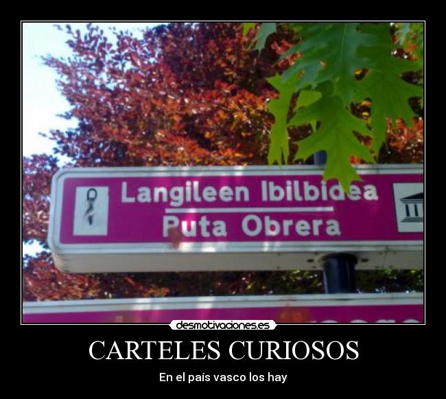 CARTELES CURIOSOS -