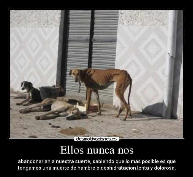 Ellos nunca nos -