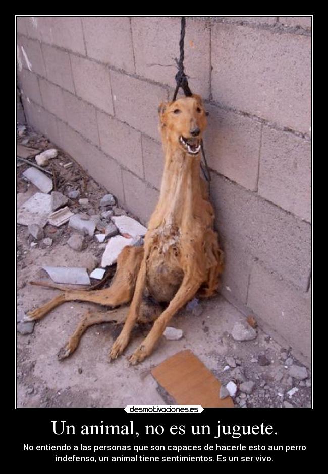 carteles motherfucker desmotivaciones