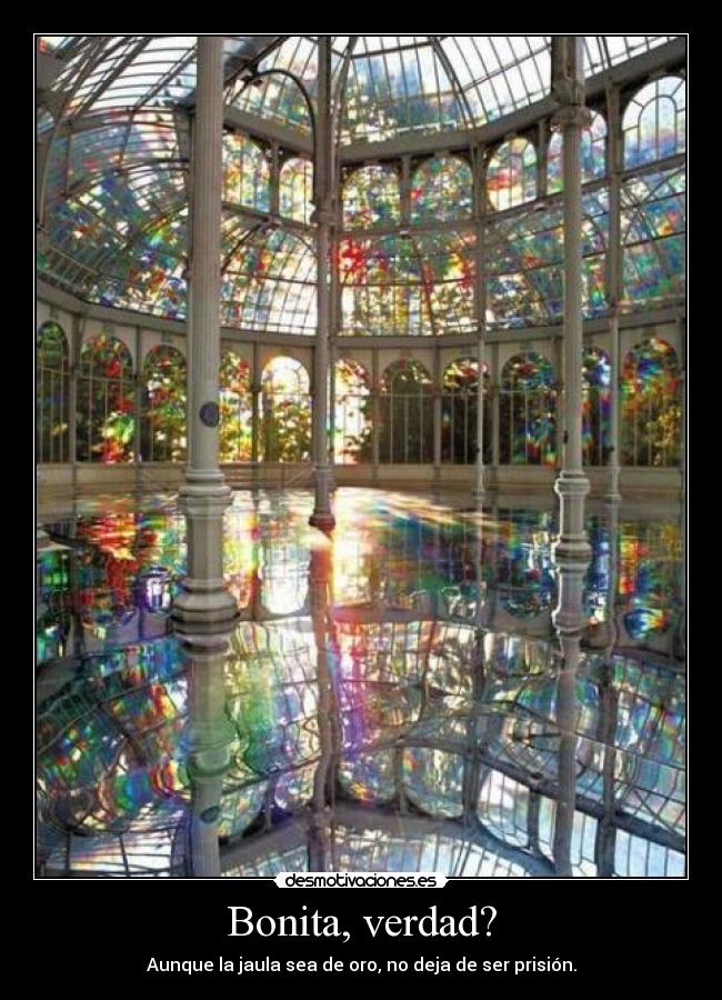 Bonita, verdad? - Aunque la jaula sea de oro, no deja de ser prisión.