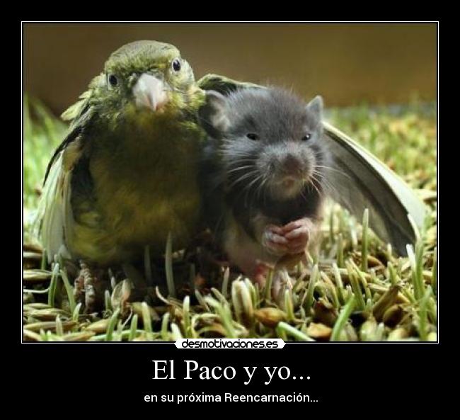 El Paco y yo... -