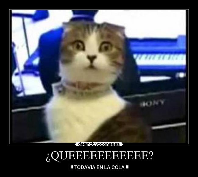 ¿QUEEEEEEEEEEE? - 
