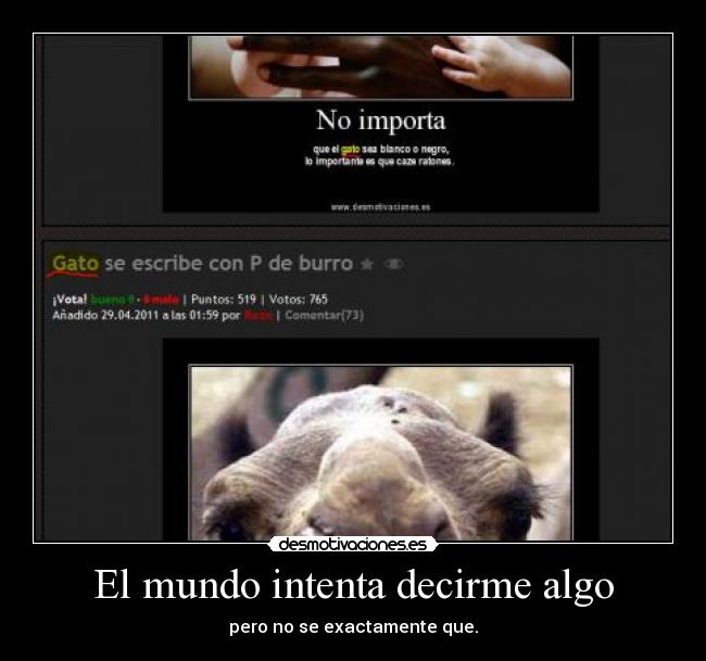 El mundo intenta decirme algo -