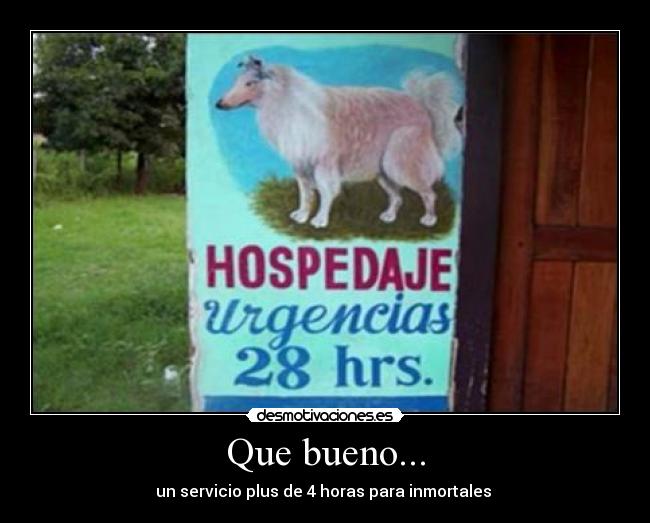 Que bueno... - un servicio plus de 4 horas para inmortales
