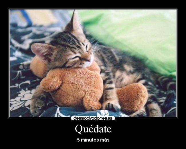 Quédate - 