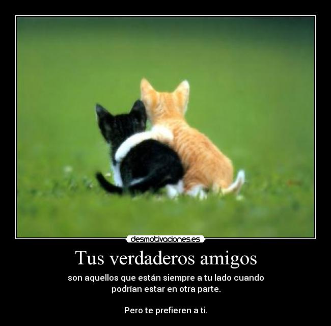 Tus verdaderos amigos - 