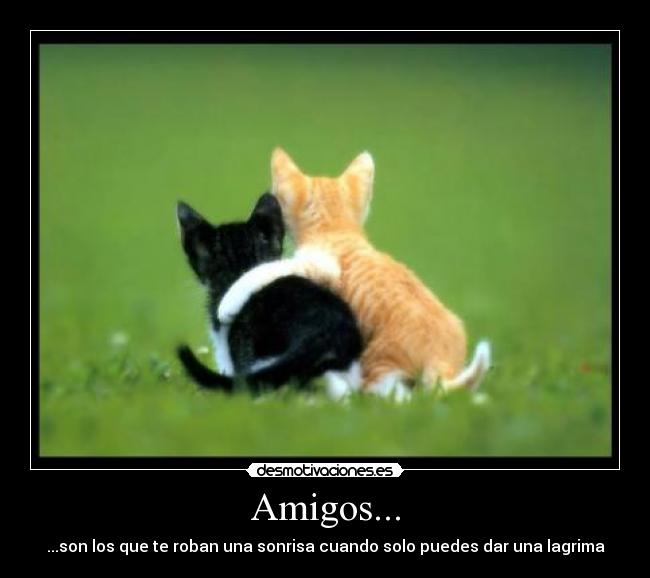 carteles amigos amigos son los sonrisas desmotivaciones
