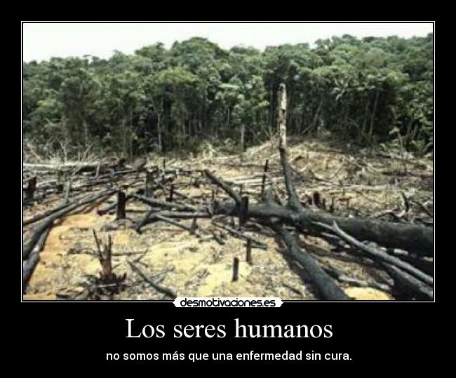 Los seres humanos - 