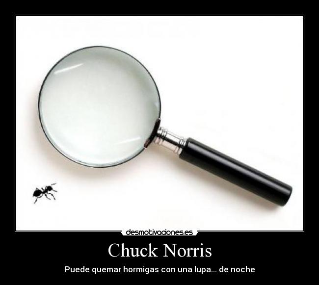 Chuck Norris -