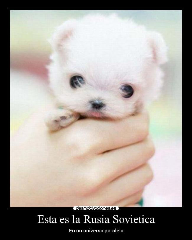 Esta es la Rusia Sovietica - 