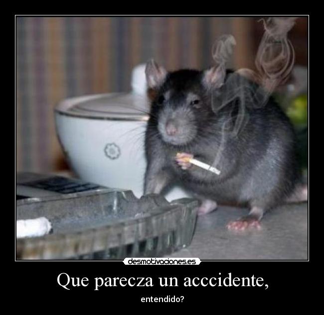 carteles entendido accidente desmotivaciones