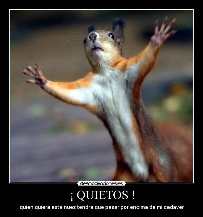 ¡ QUIETOS ! - 