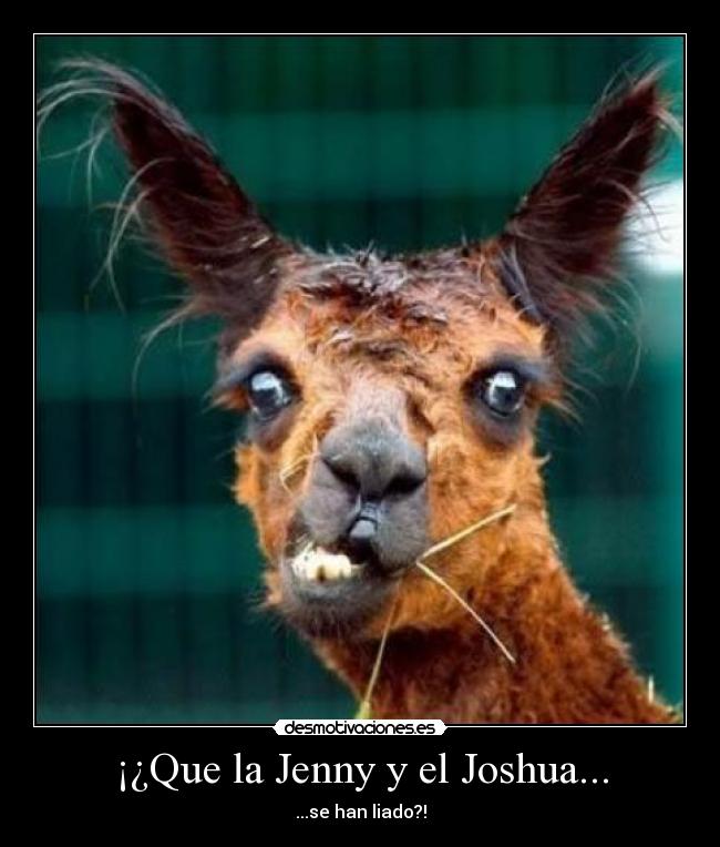 carteles que jenny joshua han liado que fuerte chaval creo trauma choni cani jaja dios desmotivaciones